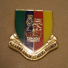 The AAJLR Lapel Badge