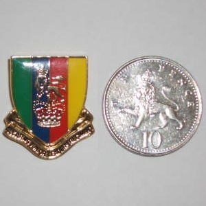 AAJLR Pin