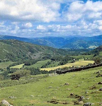<<< Quote Ref: cader003 >>>