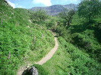 <<< Quote Ref: cader008 >>>