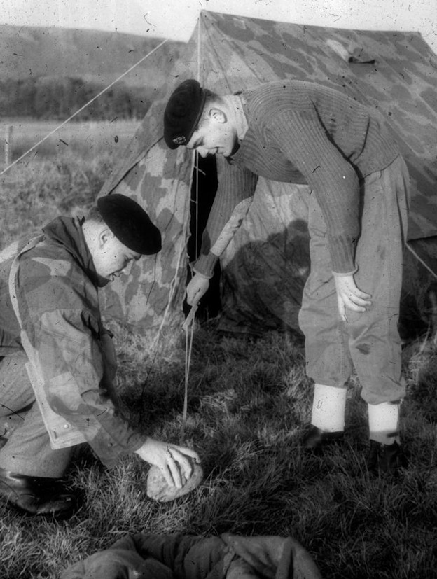 <<< Quote Ref: cphoto264 >>>